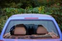 Rear-window-glass-repair