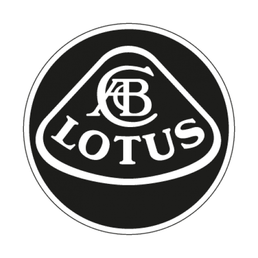 Lotus windscreen replacement